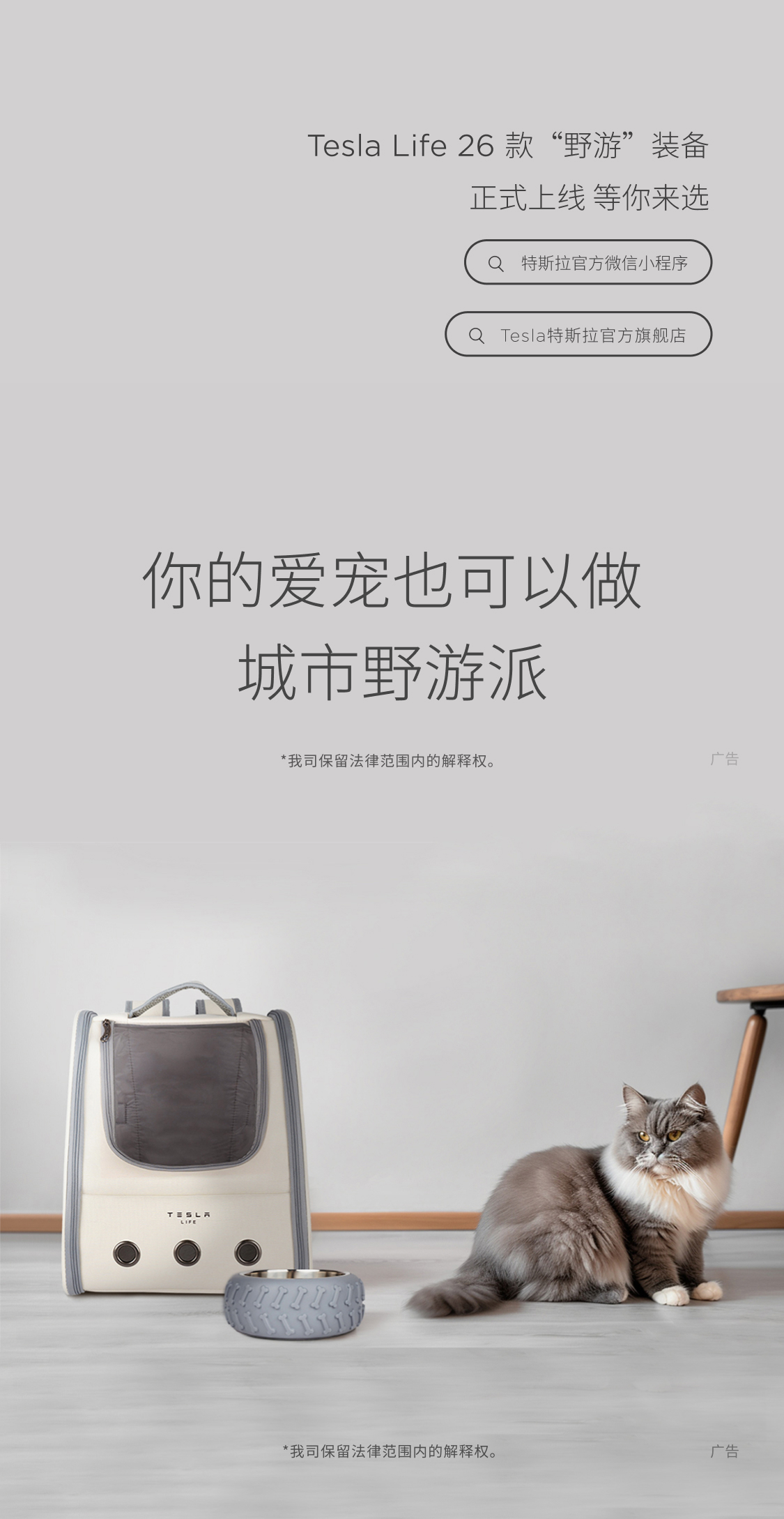 Campaign 4